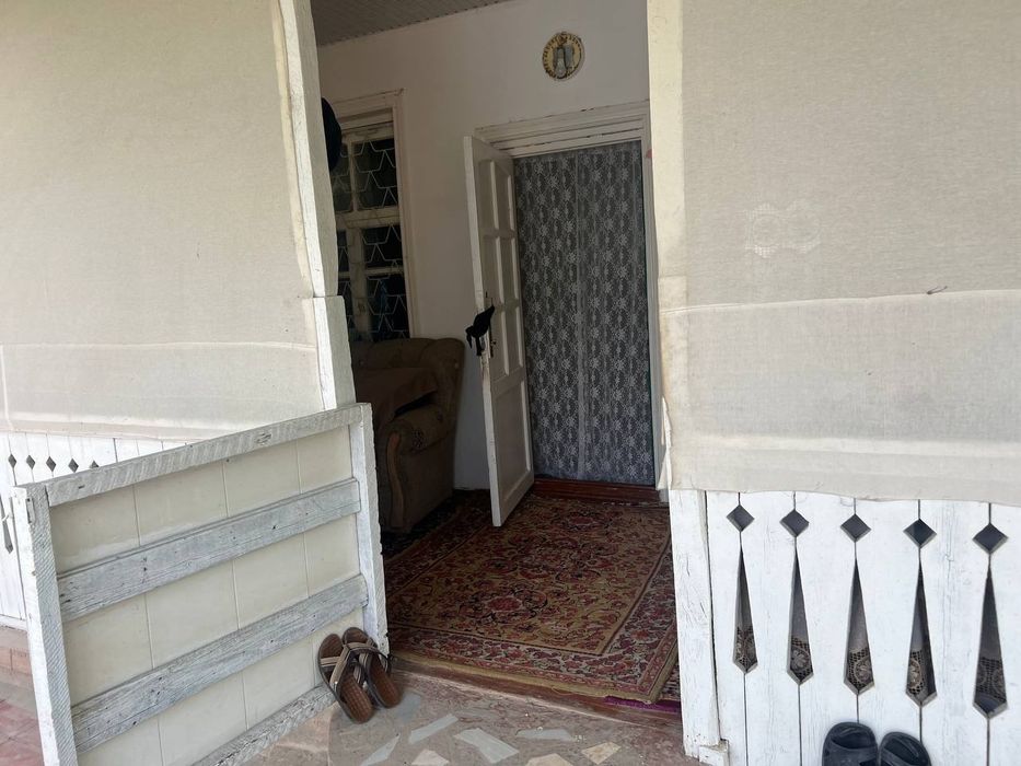 Uy Tuzel dacha Yangi O'zbekistonga yetmasdan