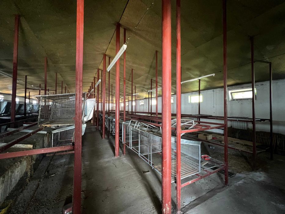 клетки для кроликов