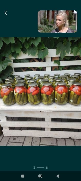 Солёные огурцы. Лучшие