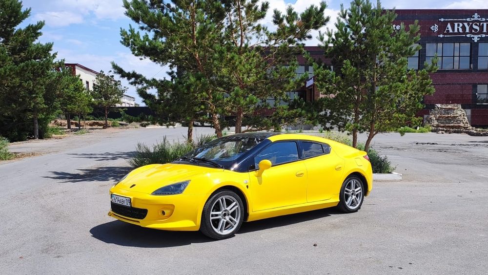 ТагАЗ Aquila или MPM Erelis