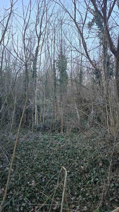 Къща в с. Лазарово, област Плевен