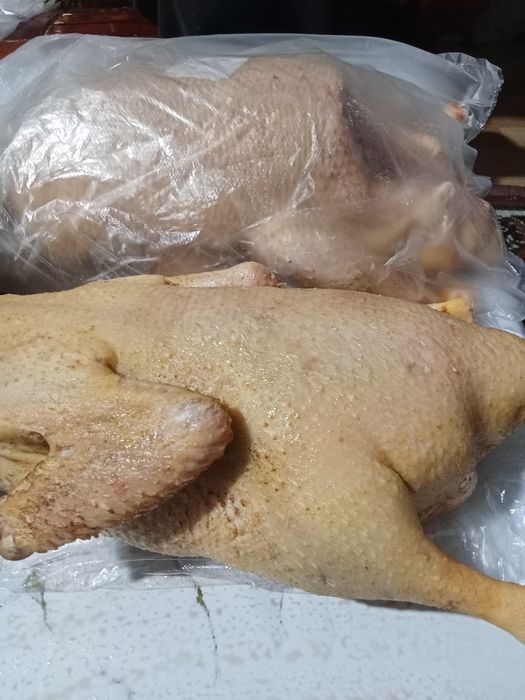 Продам Утки Халал Домашние 3200 кг