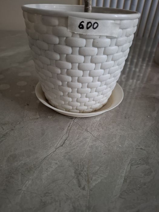 Горшки для цветов