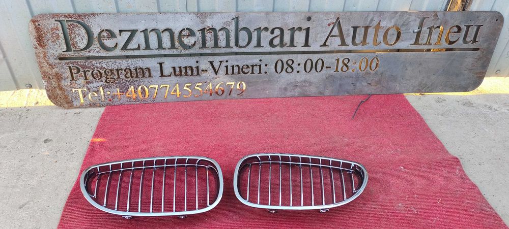 GRILE BMW model e60