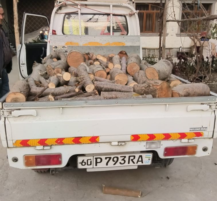 Qoʻqon gilos  oʻtin sotiladi