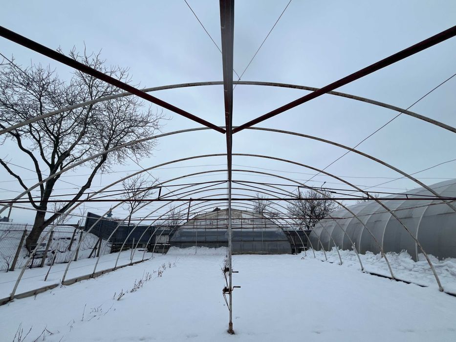 Solarii pentru legume sau flori,MADERAT jud ARAD