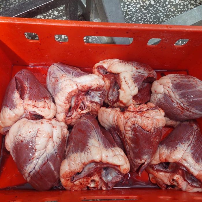 Продам говяжье сердце