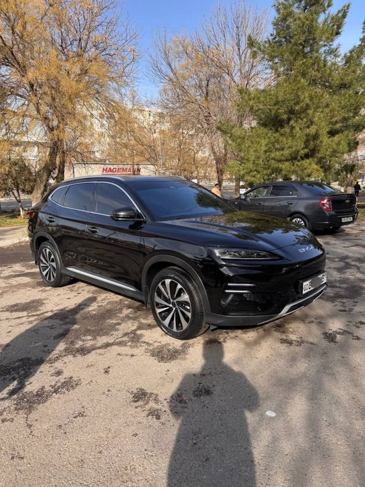 Byd champion 2023. Tozza