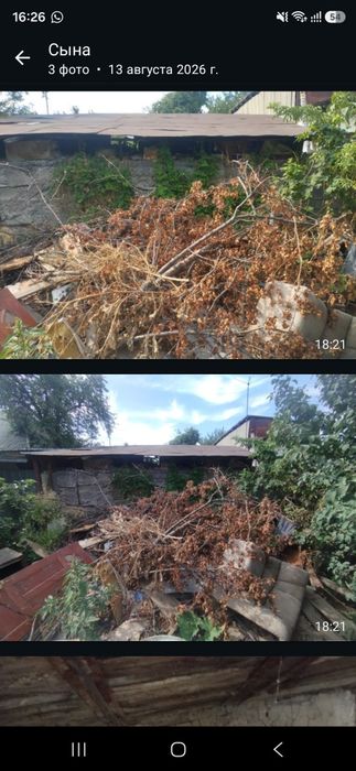 Отдам бесплатно дрова разные