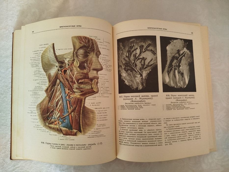 Атлас анатомии человека.  С. Д. Синельников.