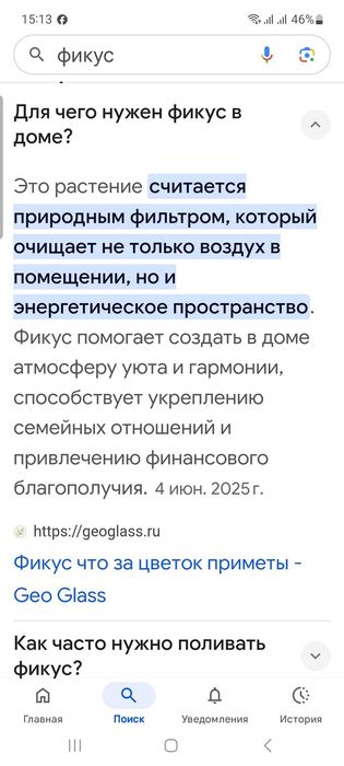 Продам комнатные цветы