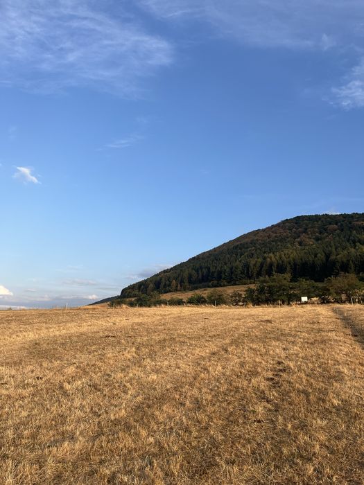 TEREN DE VÂNZARE – Gura râului , zona mărăjdiei