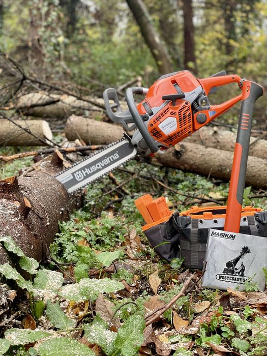 Премахване на опасни дървета, арборист, кастрене, рязане, клони
