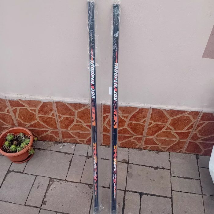 Coada minciog pescuit