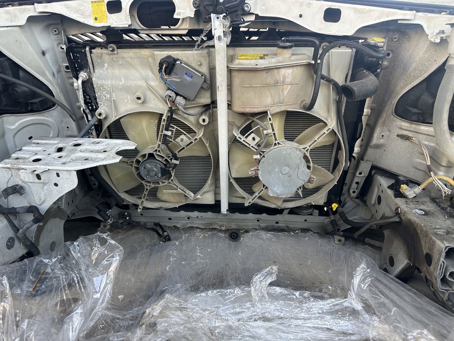 Мини морда на альфард