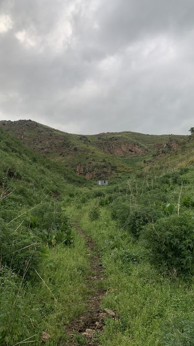 Участок 19,5 гектаров