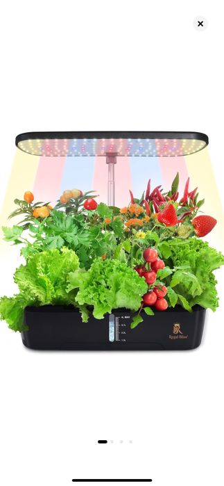 Ghiveci Inteligent,  hidrofonic de Crestere Avansat