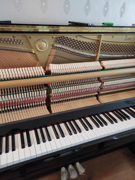 Настройка-пианино,рояль.фортепиано