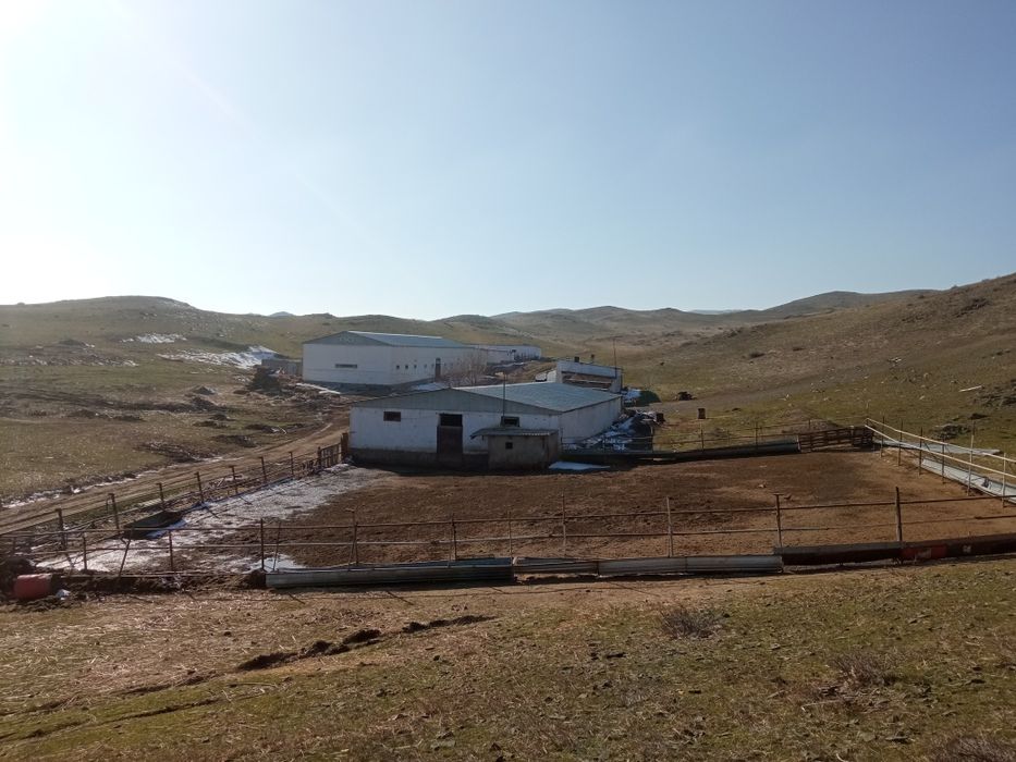 Продается фазенда