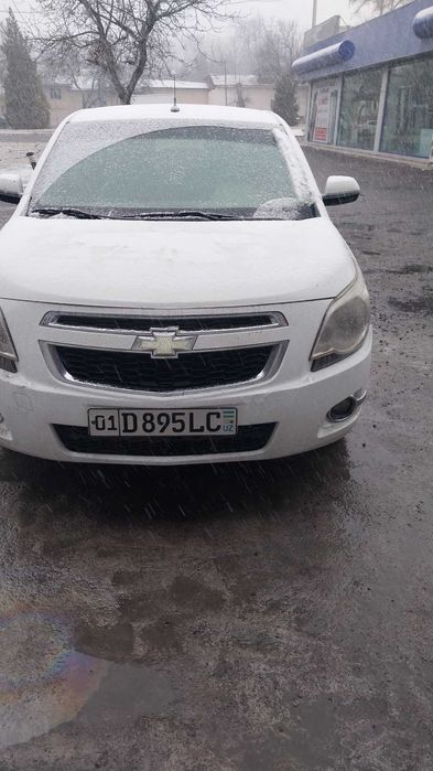 Cobolt на аренду