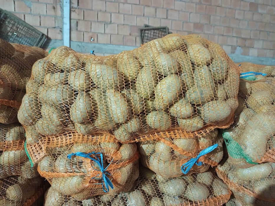 Cartofi de consum 50+