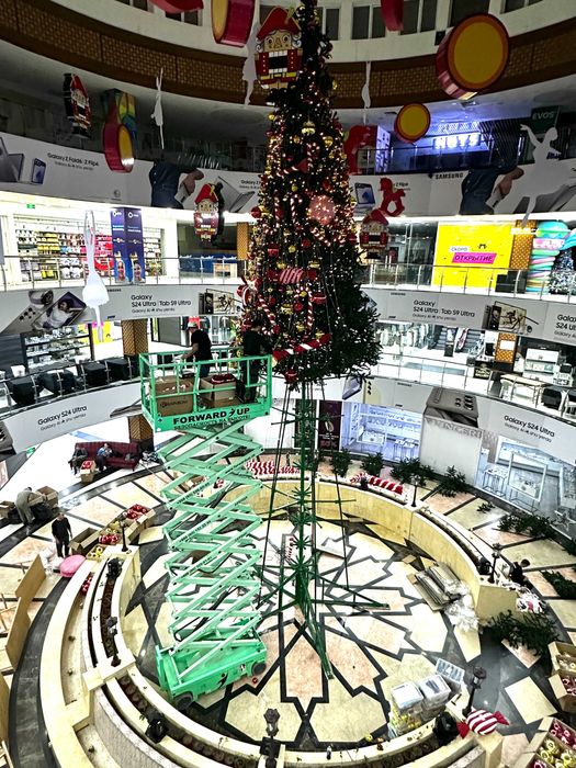 леса электрические пикониска