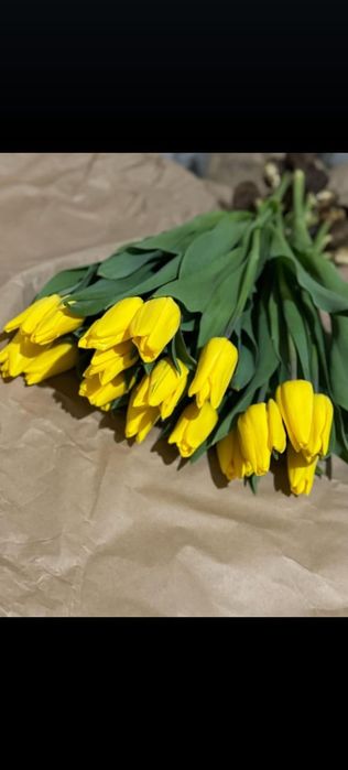 Тюльпаны на 8 марта