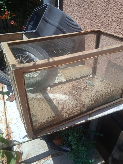 Террариум для питомца