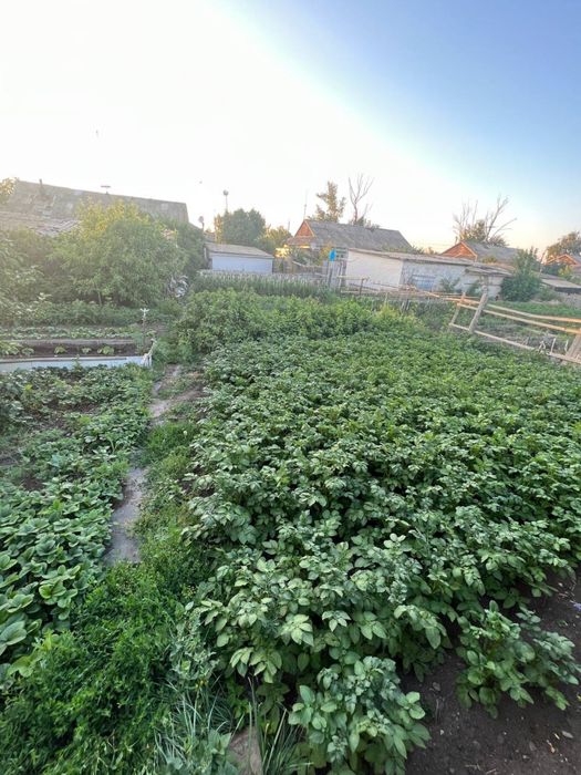 Продам Дом Бестобе напротив 101/Wildberries