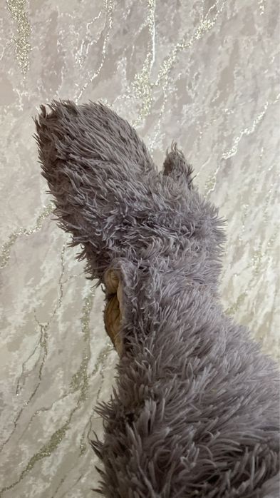 Тедди мишка и зайчик аниматор