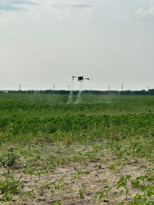 Prestez tratamente fitosanitare cu drona dji agras t50