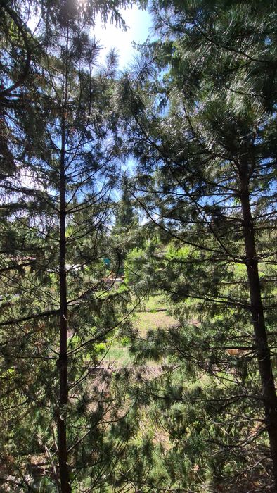 Продам дачу, в районе Аблакетки