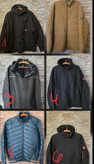 Strauss engelbert,Timberland Pro, BMW