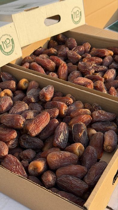 Финики на рамадан оптом