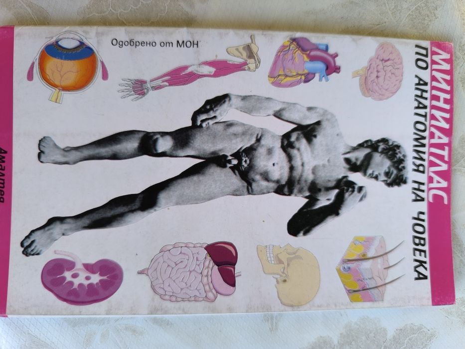 Помагала по английски, математика, физика, литература, атласи