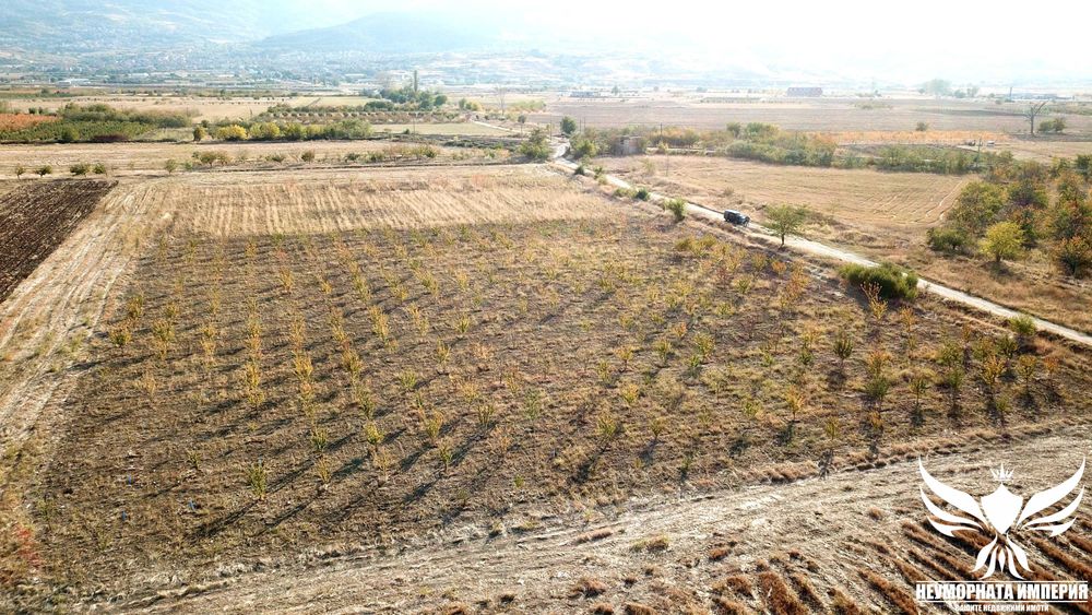 Продава се Земеделски имот в Асеновград -  кв.м за 3009 €/дка - Снимка #4