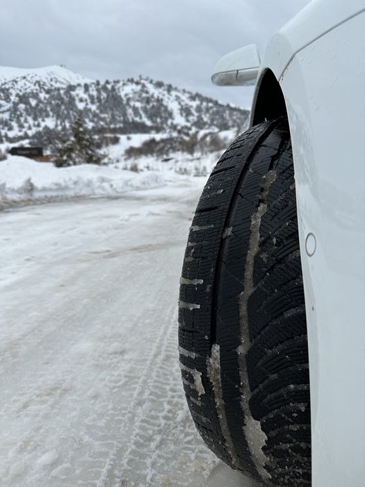 Tesla Model 3 Perfomance