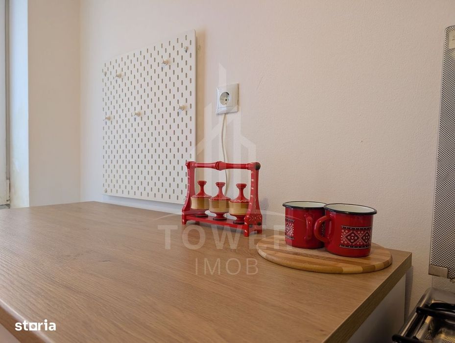 Garsoniera de inchiriat central pet friendly