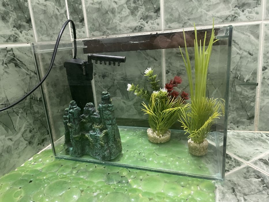 Аквариум за риби
