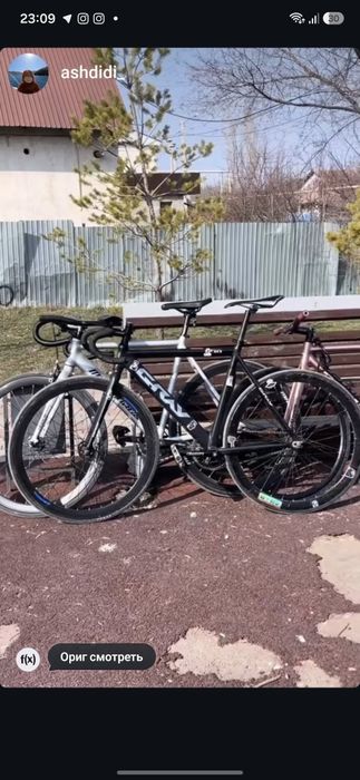 Gray F10 Fixed gear