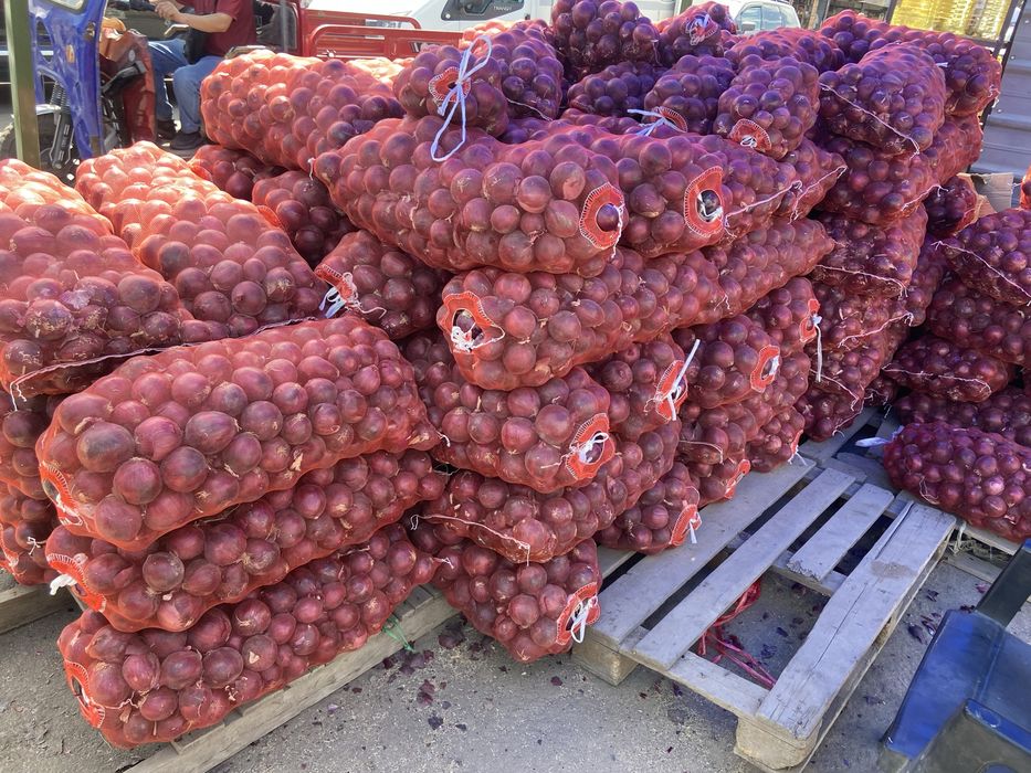 Продам Фиолетовый лук