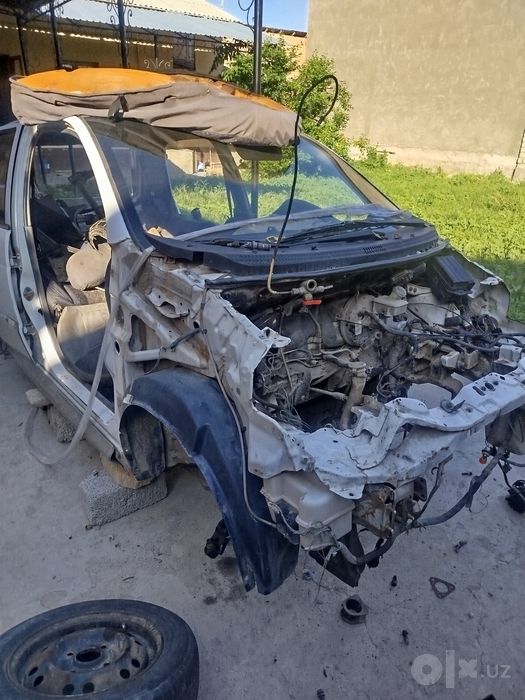 Matiz  rama  bor
