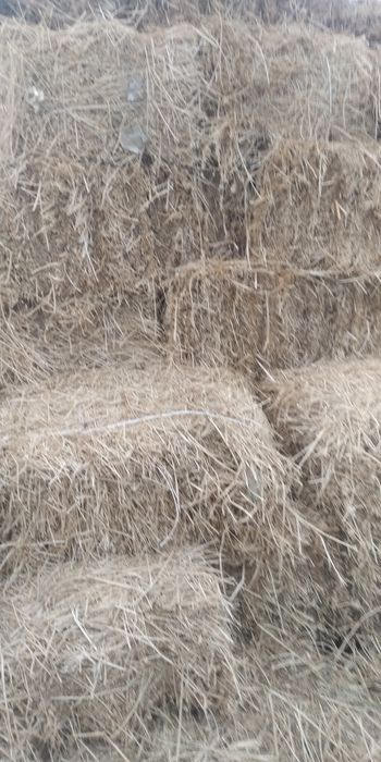 Беда пресс. Маккайи поя. Сотилади