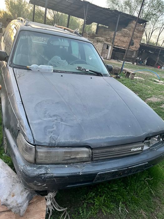 Маздап 1991 жылғы