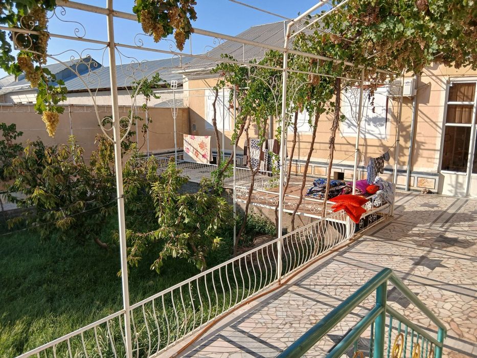 Шейхондан 6 сотихли участка