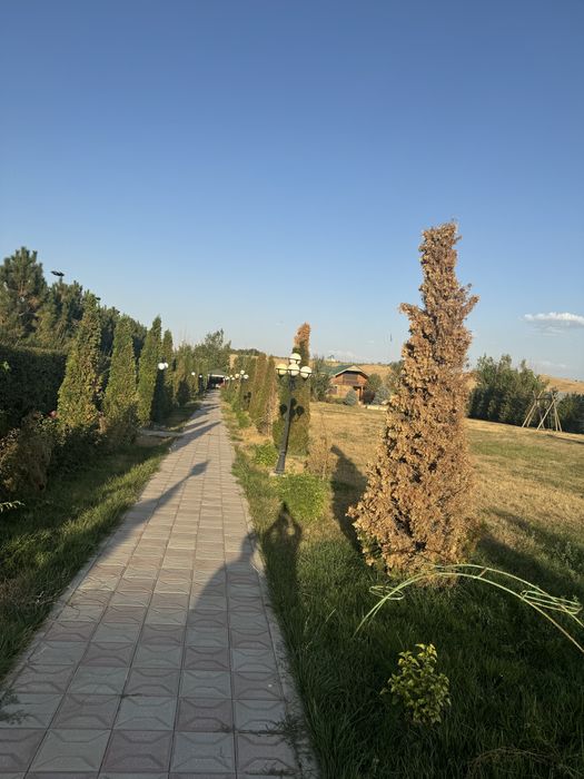 Продается фазенда