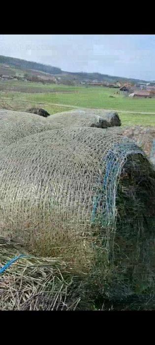 Vând baloți lucerna