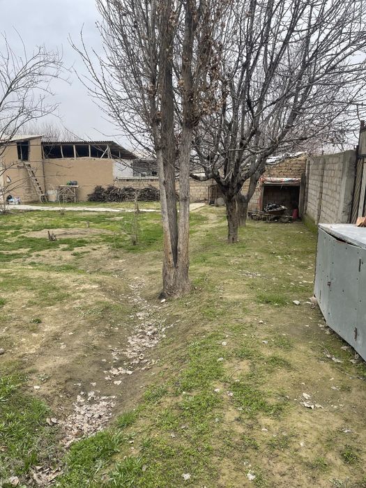 Tashmi postidan 9 km kirganda 14.4 sotix