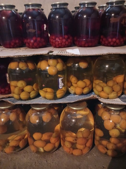 Наш адрес. Сайрам Менделеева 8,