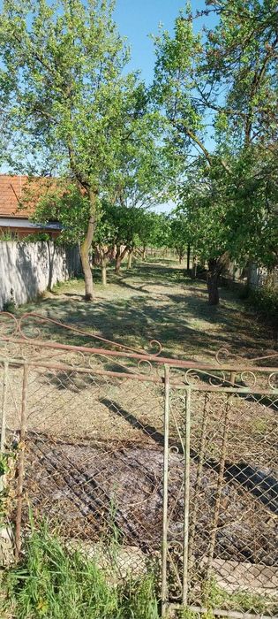 casa de vanzare la Pesteana, suprafata construita 190 mp,